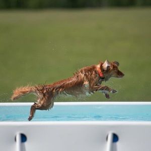 Meet your Posher, Renelle